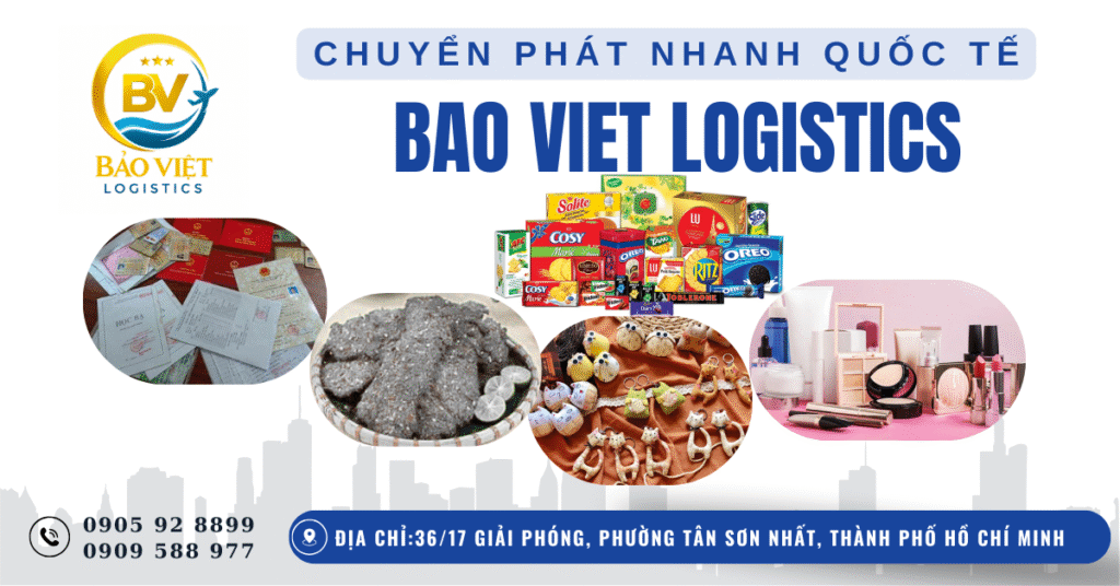 bao-viet-logistics.png?v=1773999364289