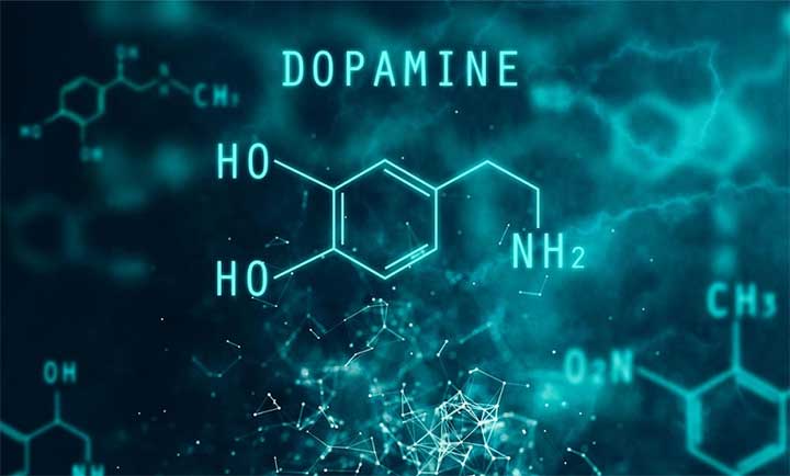 Bạn có biết về hormone “hạnh phúc” Dopamine