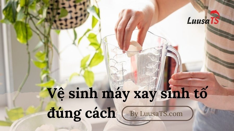 Vệ sinh máy xay sinh tố như thế nào cho đúng giúp tăng tuổi thọ máy