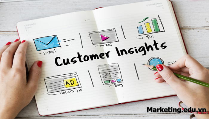 Insight là gì? 5 bước để xây dựng insight khách hàng siêu “chính xác”